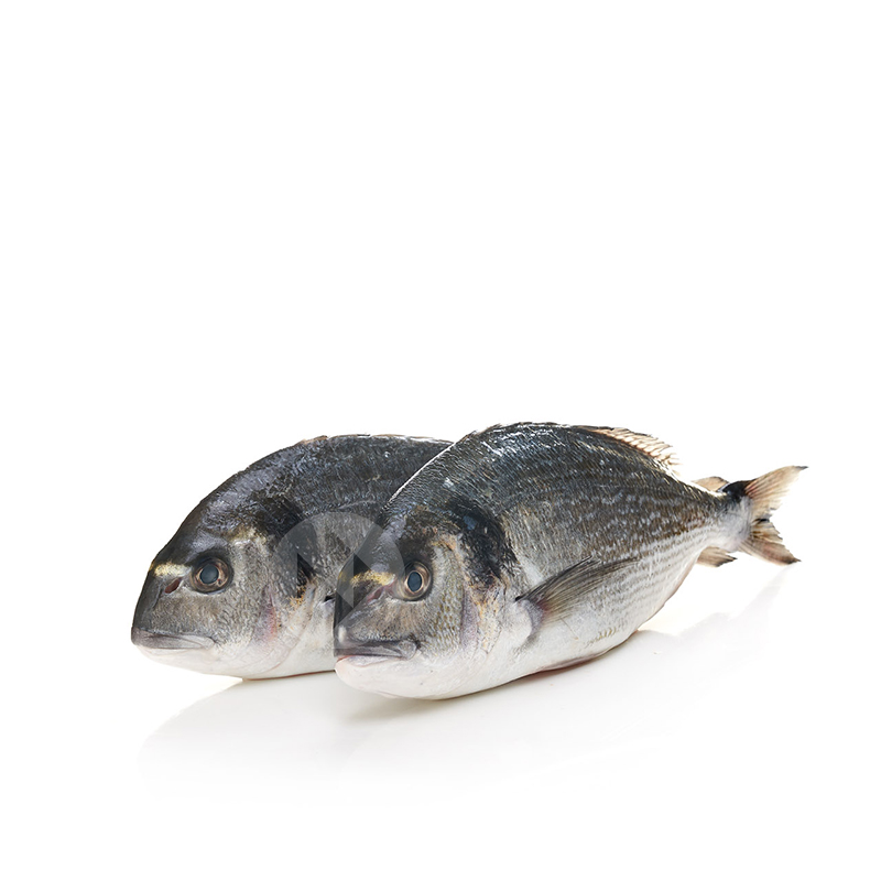ORADA DE VIVER (400-600 g peça) 11-13p/ca 6kg