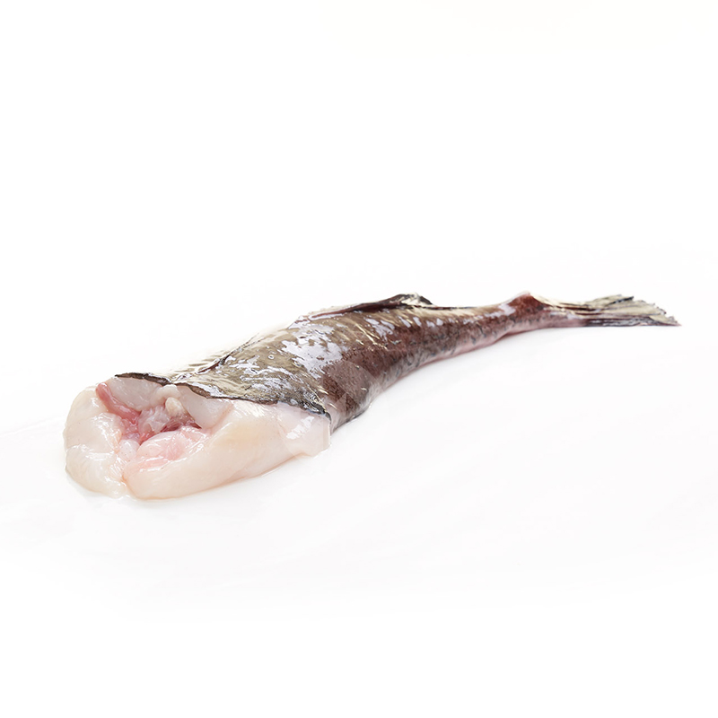 RAP CUA BLANCA (1-2 kg peça)