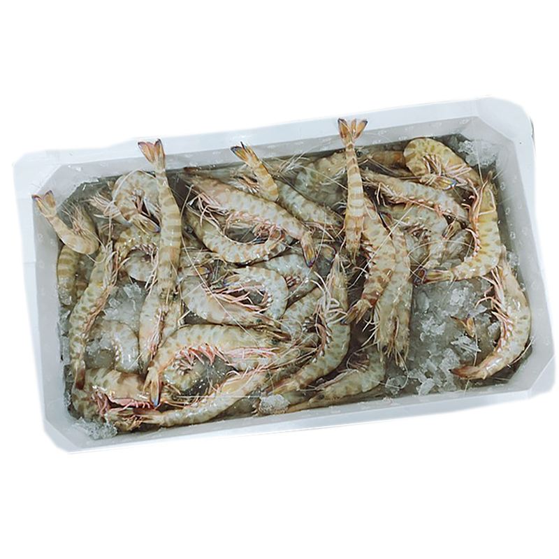 LANGOSTINO FRESCO DEL MEDITERRANEO/ADRIATICO 25/35 pz 