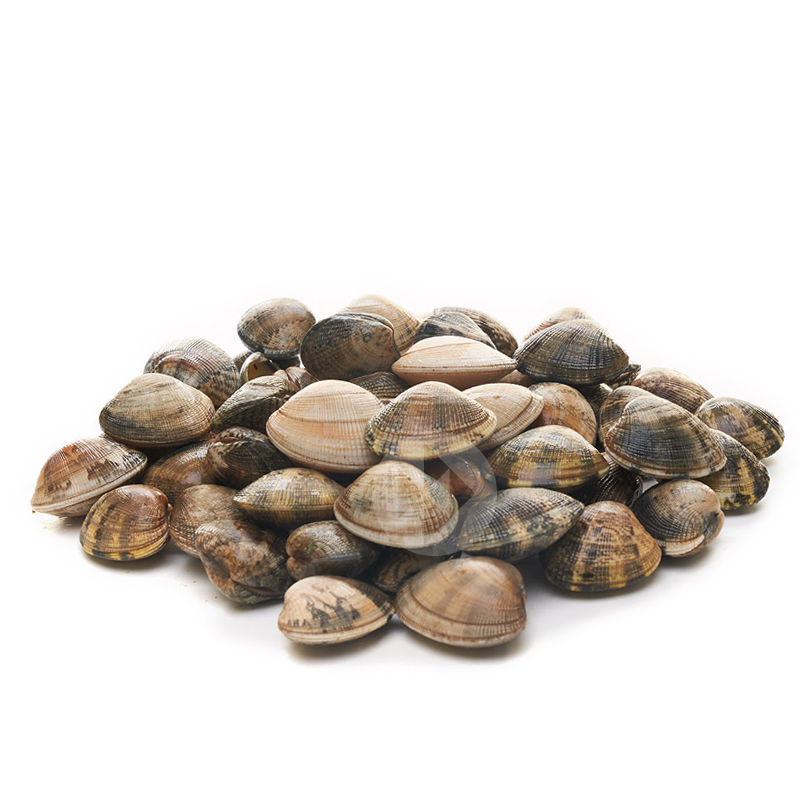 ALMEJA JAPÓNICA (90-110 p/kg) MALLA 2Kg Aprox.