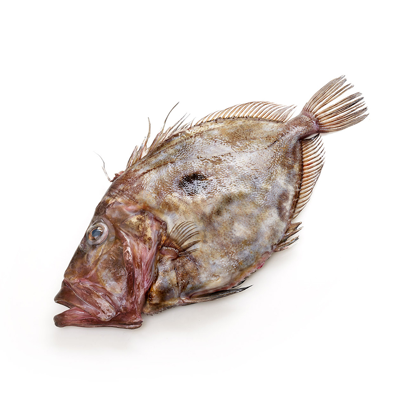 GALL DE SANT PERE 1-2 Kg/pz 
