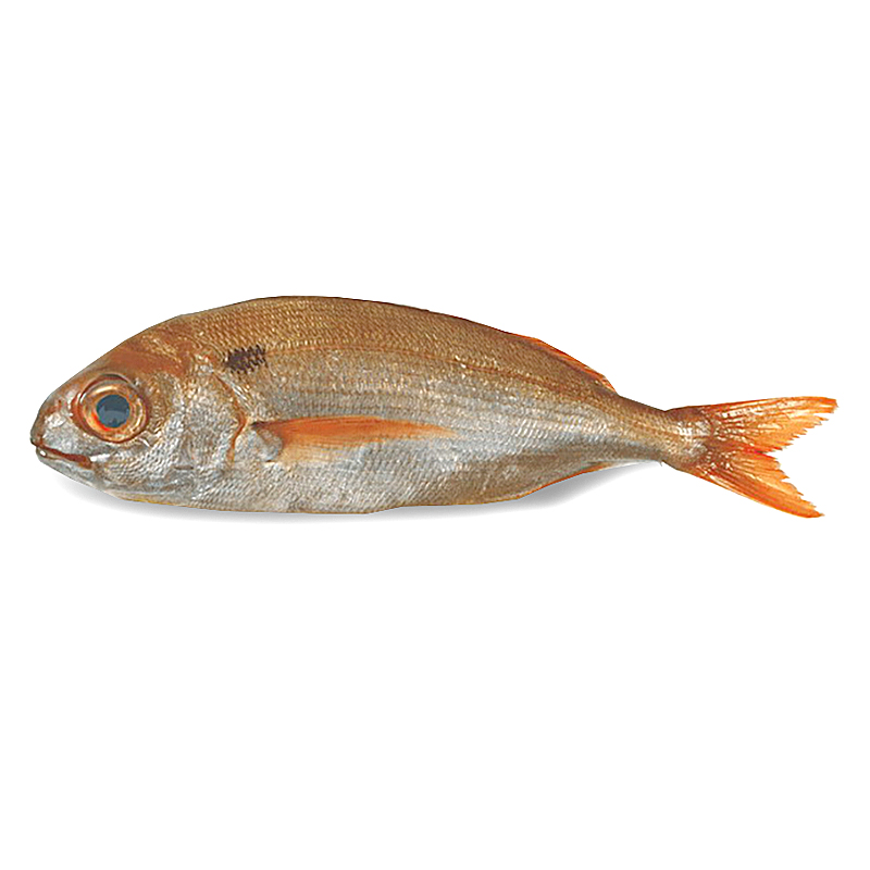 BESUC SALVATGE (1-2 kg/un)