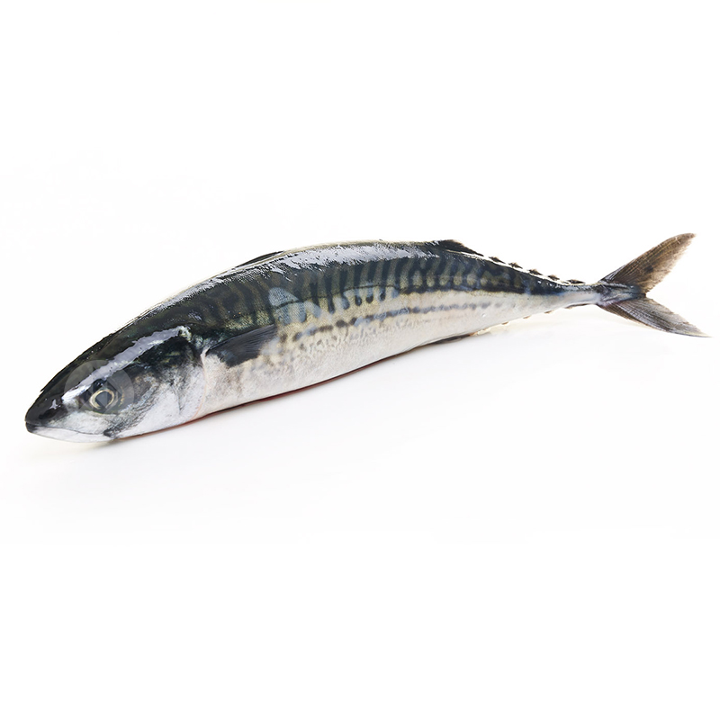 VERAT 2-4  u/kg. c/5kg.