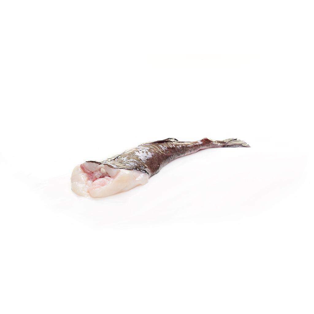 RAPE COLA BLANCA GRANDE (2-3 kg pieza)