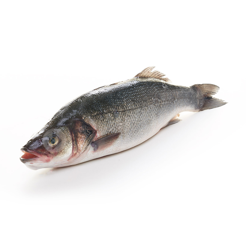 LUBINA SALVAJE GRANDE (2-4 kg pieza)