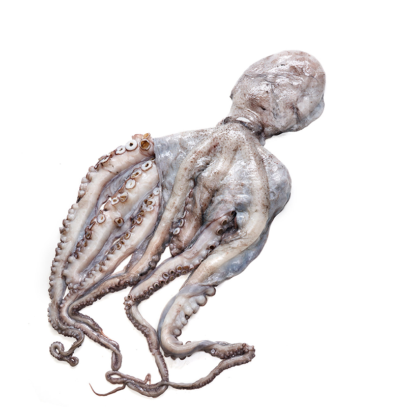 PULPO GRANDE 2-3Kg Pieza 