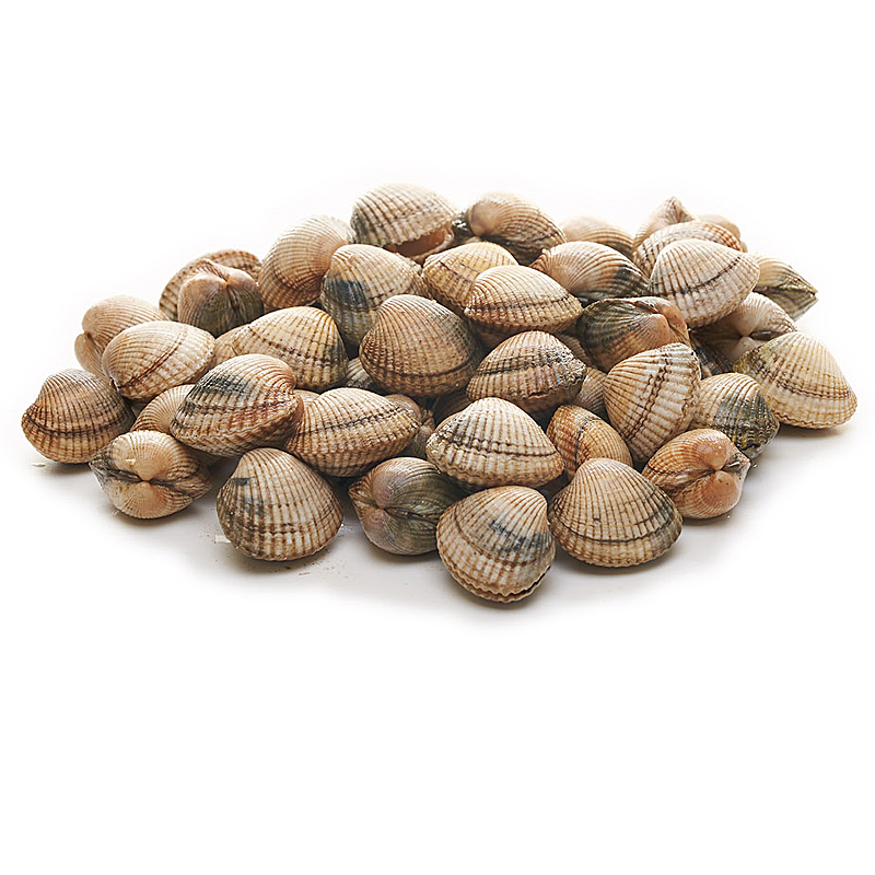 BERBERECHOS 60-70p. malla 500g aprox