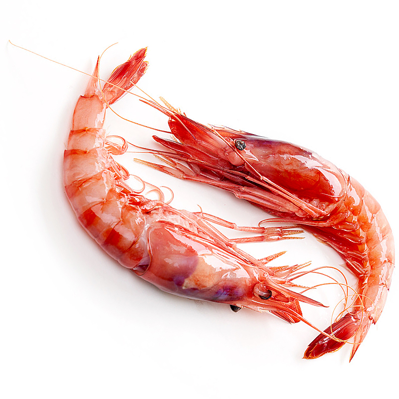 GAMBA GRANDE DEL MEDITERRANEO 20-30 U/kg. 