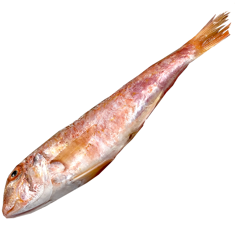  MOLL  (8-12 peces quilo)