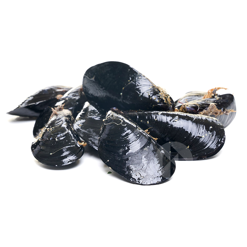 MUSCLO MITJÀ GALLEC (50-60 p/kg) 5Kg aprox.