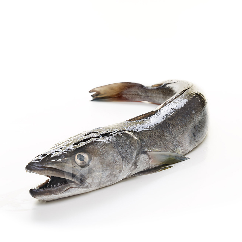LLUÇ PALANGRE 2-2,9 Kg/u ESCATADA