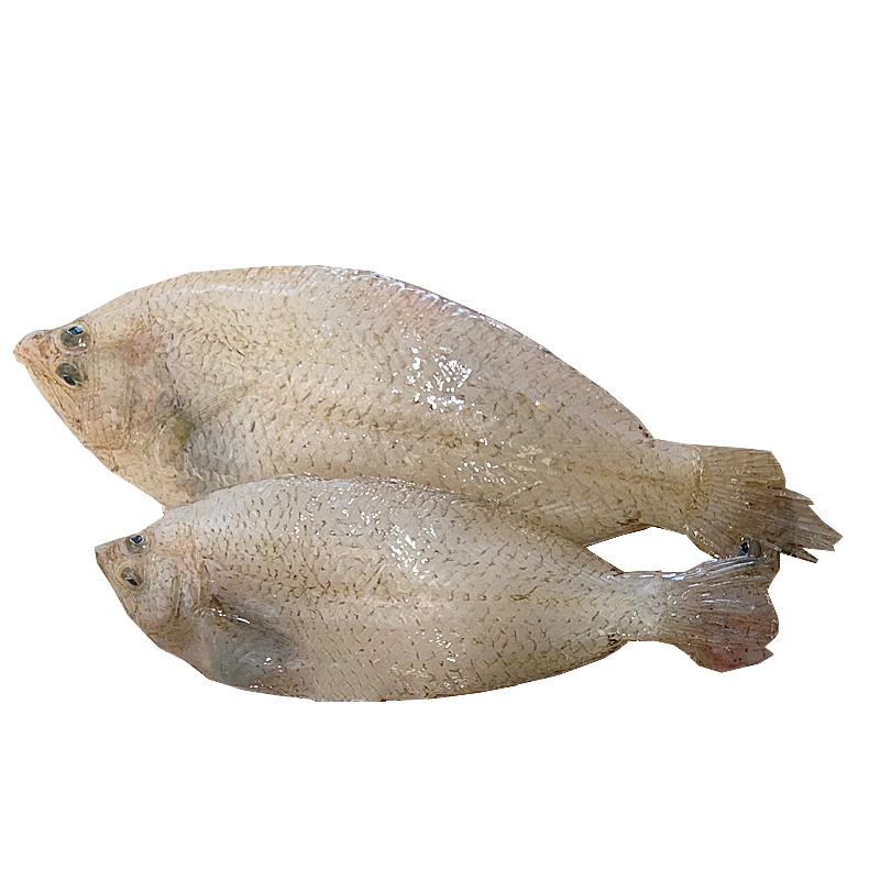 PELAYAS  DEL MEDITERRANEO (25-35 piezas kilo)