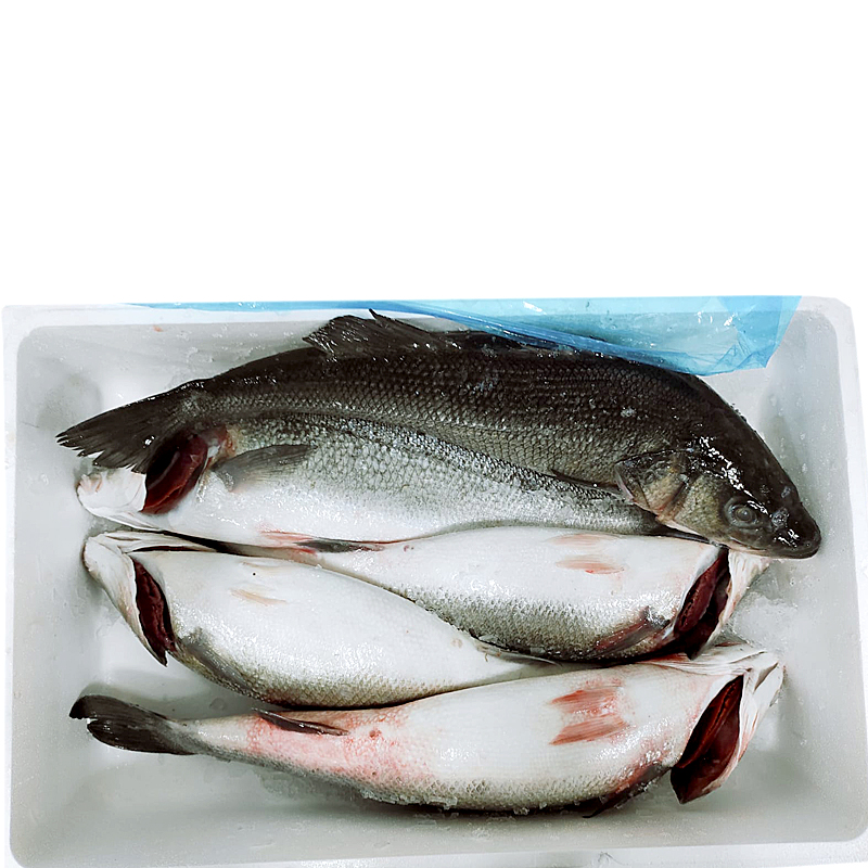 LUBINA DE VIVERO ENTERA 