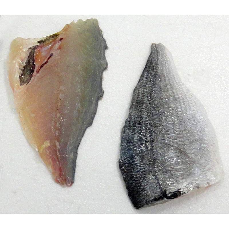 ORADA VIVER 200-300g 19-23 UND/CAIXA 6 KG FILETS