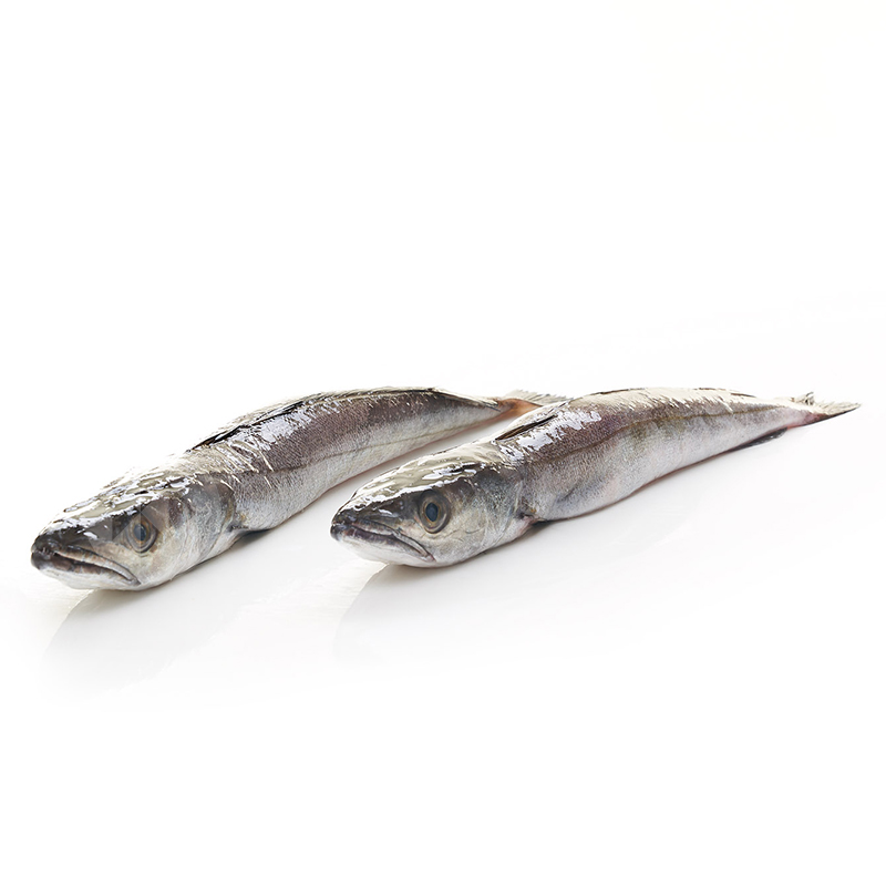 PESCADILLA DEL NORTE RAC.4-6u/kg.(3K/CA)