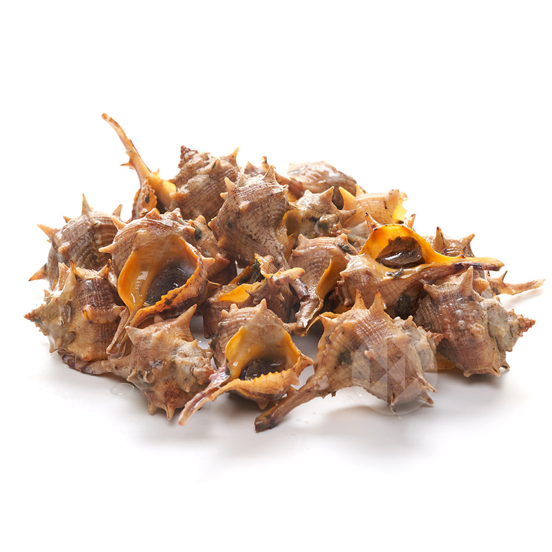 CARACOL DEL MEDITERRANEO (CAÑAILLA DE COSTA) 60-80p/Kg Caja 2 kg.