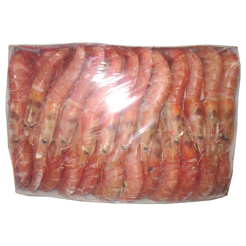 Gamba argentina bordo n2(20-30)
