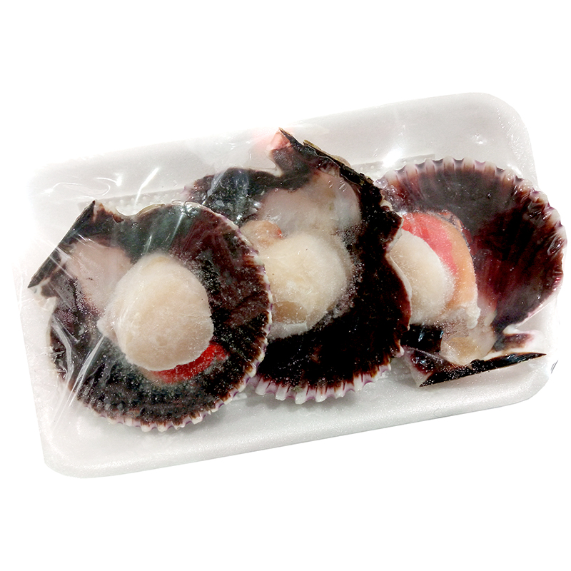 VIEIRA DEL PACIF. MEDIA CONCHA 4 UN.BAND. RF