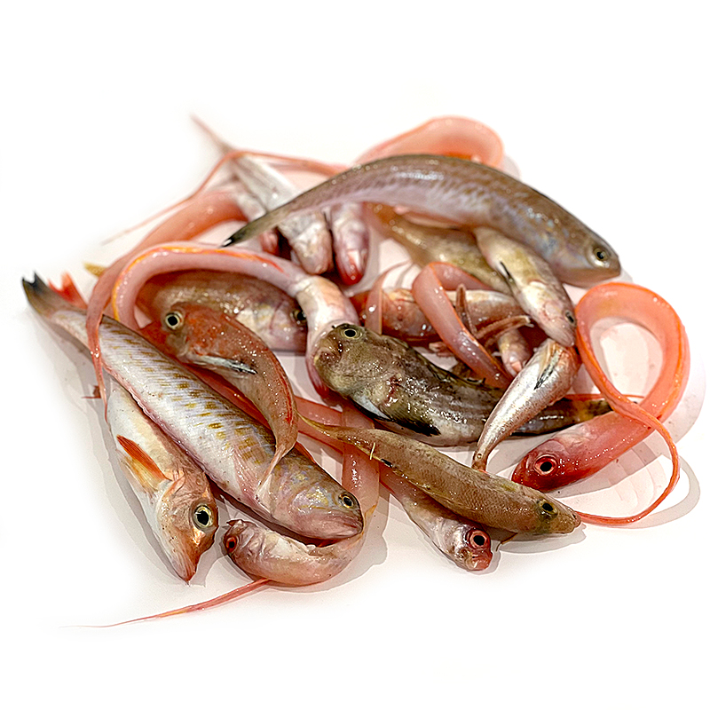 MORRALLA DEL MEDITERRANI PER FREGIR (40-50 peces/kg) 5kg/ca
