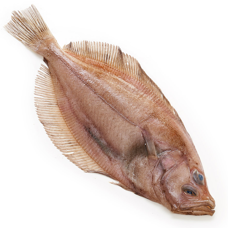 GALLO GRANDE 500-700 g/u SIN CABEZA