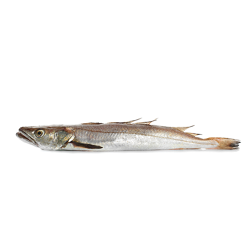 LLUÇET DE BOU PETIT DEL MEDITERRANI (8-12 peces kg)