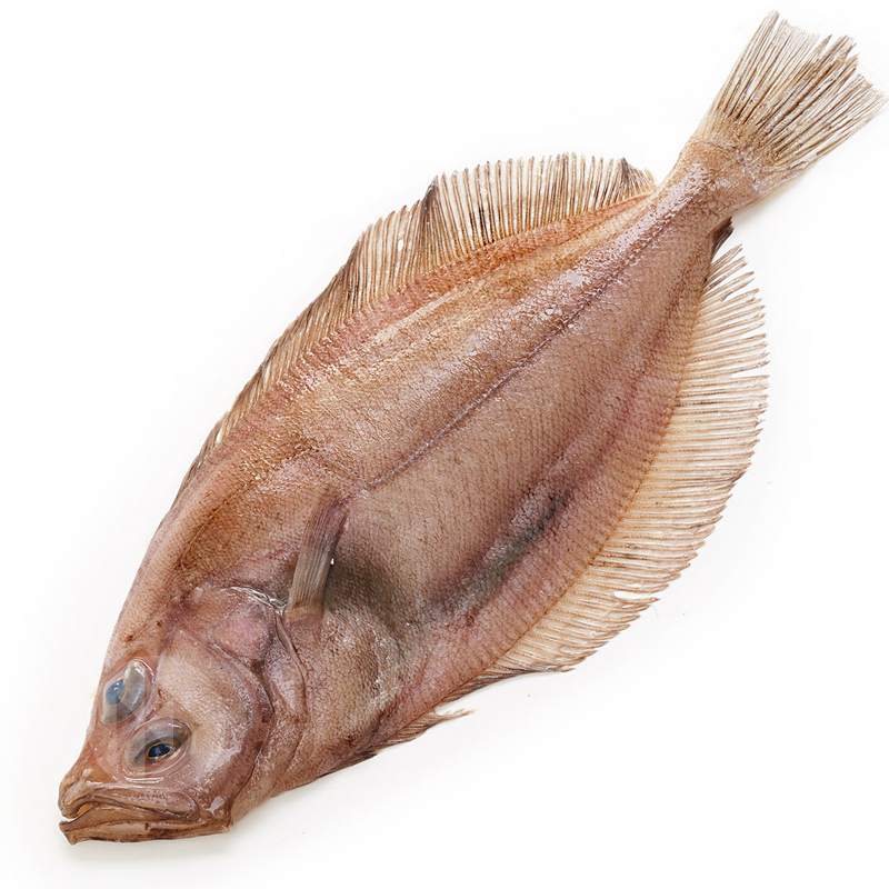 BRUIXA RACIÓ (300-500 gr/un) 3kg/ca