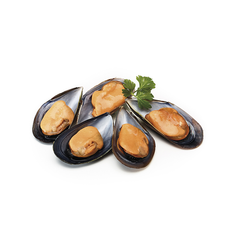 Mejillón 1/2 concha gallego super 10% 50-80