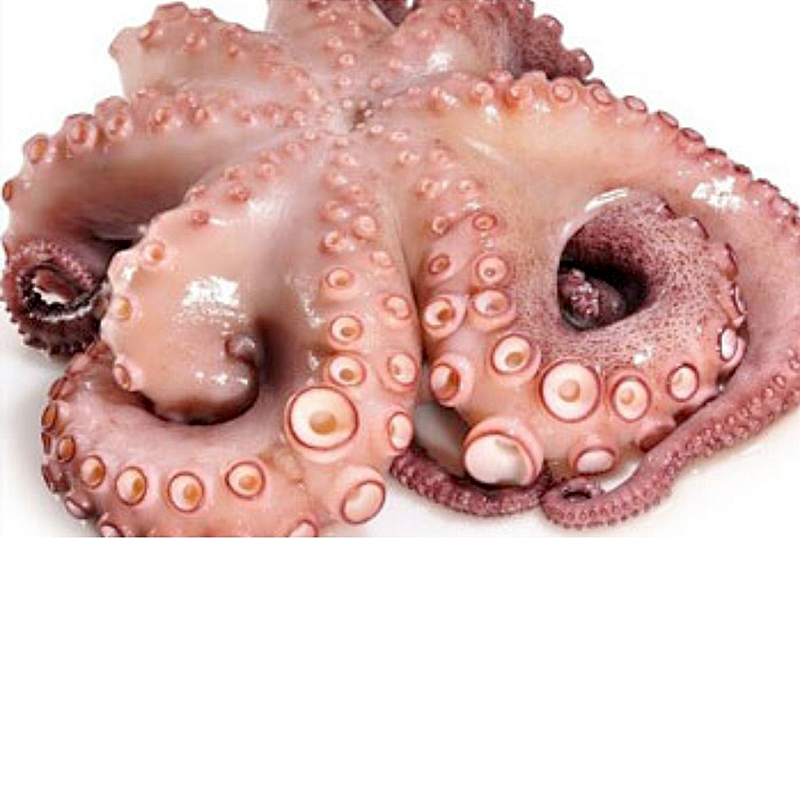 Pulpo crudo marruecos T2 3/4k u.
