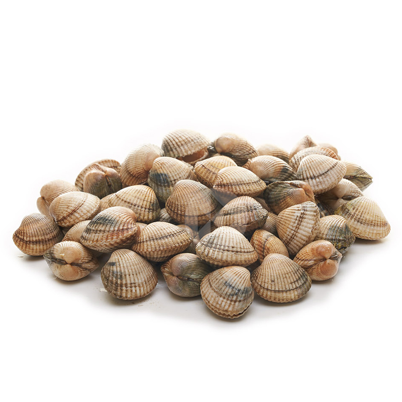 ESCOPINYES GRANS 100-120 p/kg APROX.