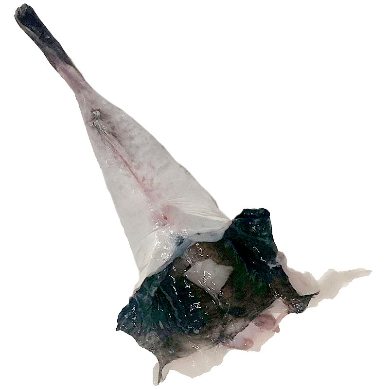 RAP CUETA 200-300g (17-22 u/ca) CAIXA 5Kg aprox