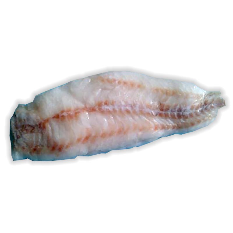 Brótola filete sin piel a bordo