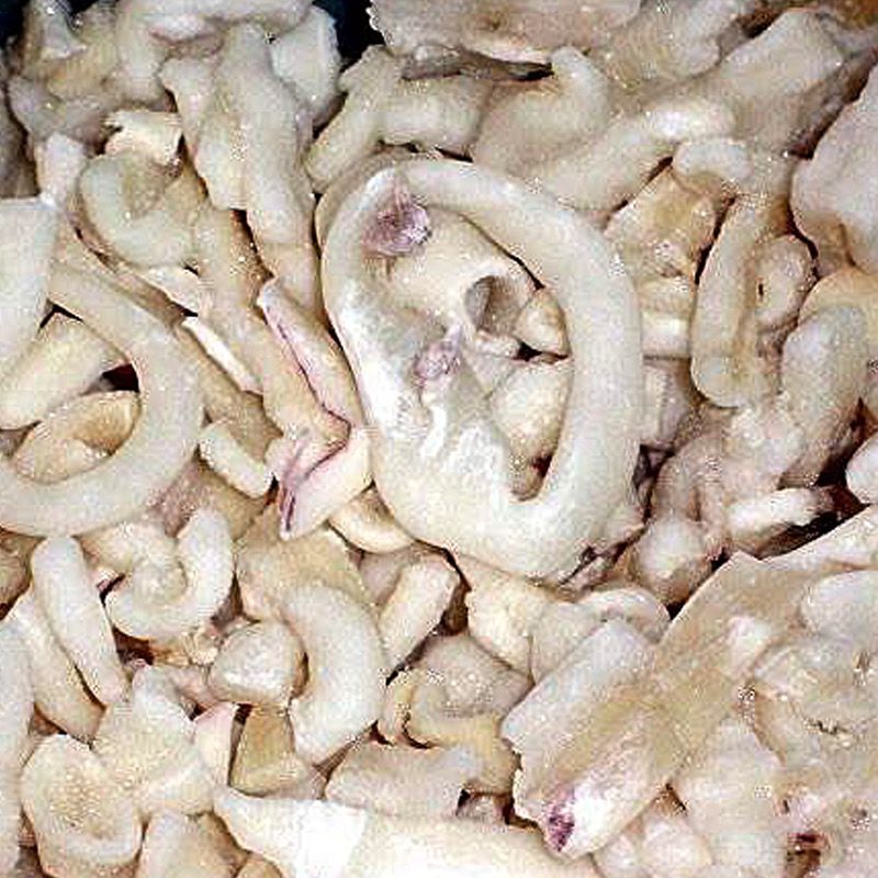Calamar picos
