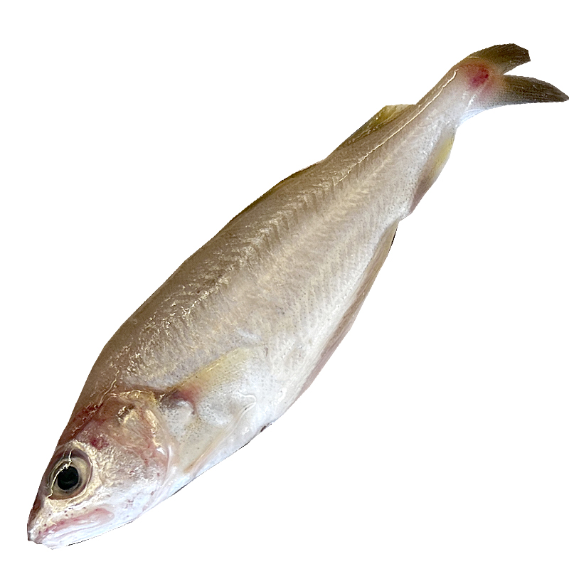 MOLLERETAS DEL MEDITERRÁNEO (20-30 piezas/kg) ca/3kg