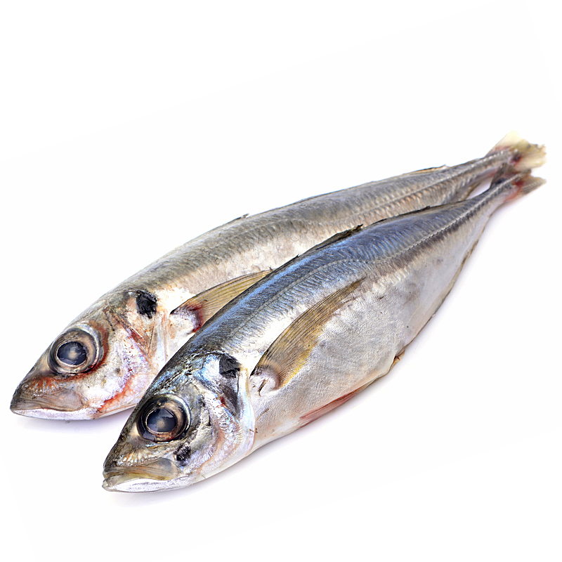 JUREL DEL MEDITERRÁNEO 6-8 u/kg. (3k/CA)