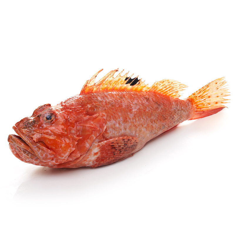 ESCORPORA/CABRATXO 1-2 Kg/UN