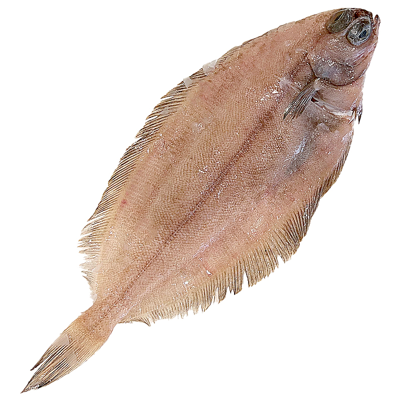 LENGUADINA GRANDE (200-400 g pieza)