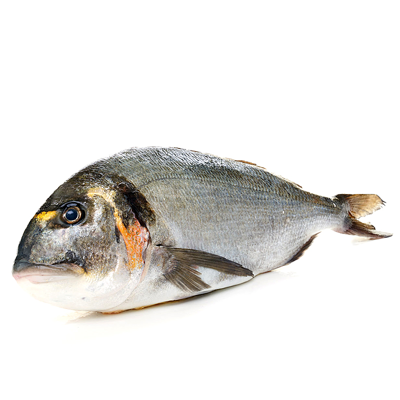 ORADA SALVATGE 1-2 Kg./ud 
