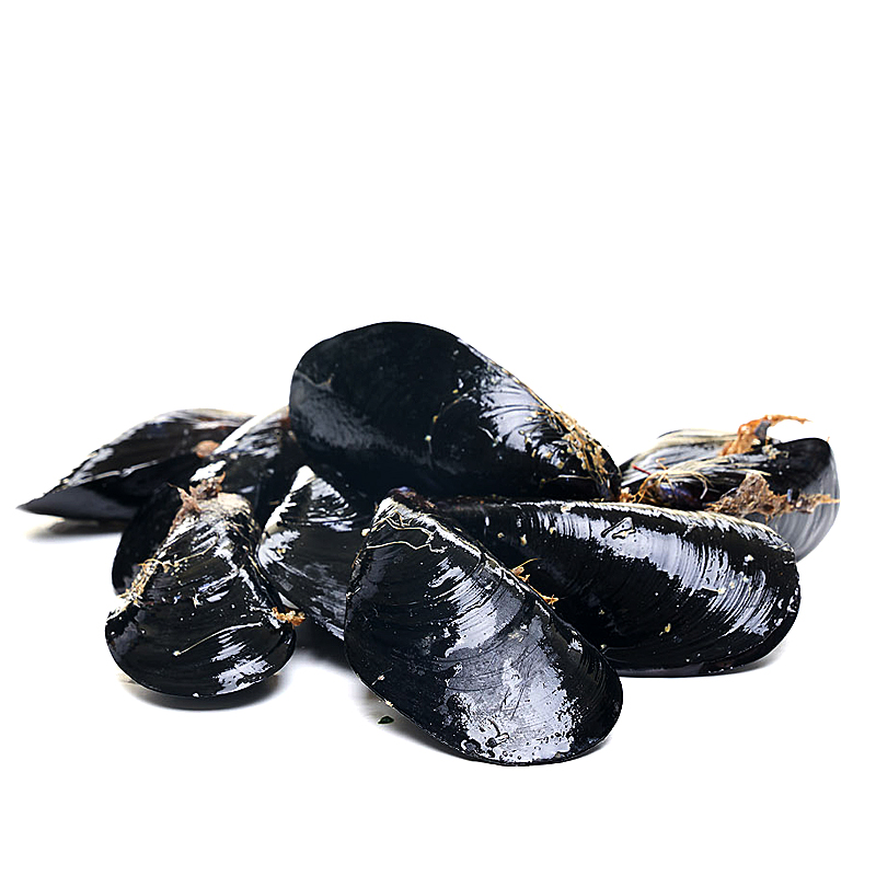 MEJILLÓN LACASITO (60-80p/kg) MALLA 1 kg APROX.