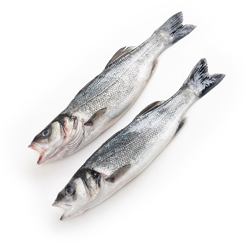 LUBINA VIVERO (300-400g) 15-18 un/ca 6kg