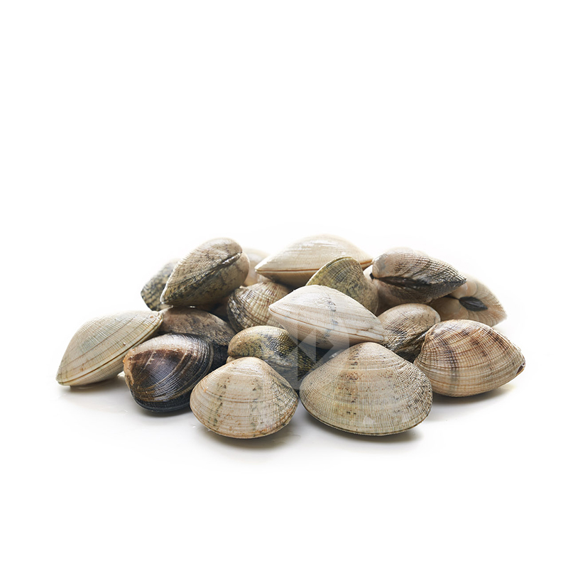 CLOÏSSA ESPECIAL GROSSA JAPÒNICA 30-50 pcs (CAIXA/2KG APROX)