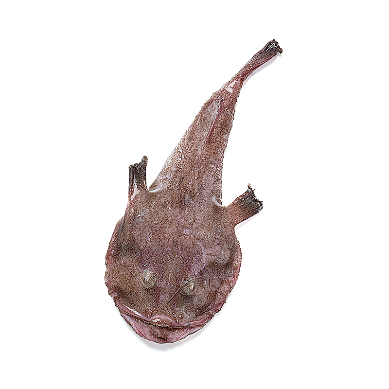 RAP SENCER RACIÓ 500-700g (4k/ca) Aprox.