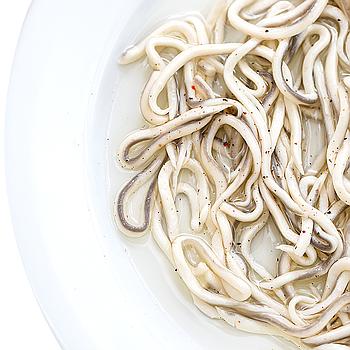 ANGULA FRESCA, SELECTA (100 g)