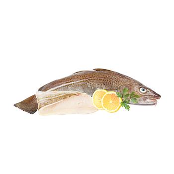 BACALAO ENTERO 1-2 KG FILETES