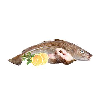 BACALAO ENTERO 1-2 KG/UN RODAJAS