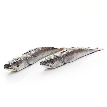 LLUÇET DEL NORD (4-6 peces quilo)