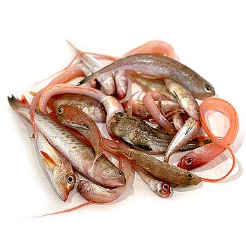 Morralla (peix petit per fregir)