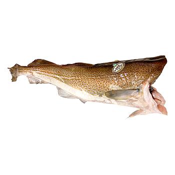 BACALLÀ SKREI S/CAP 2-4 KG/UN