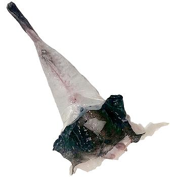 RAP, CUA (200-300 g peça)