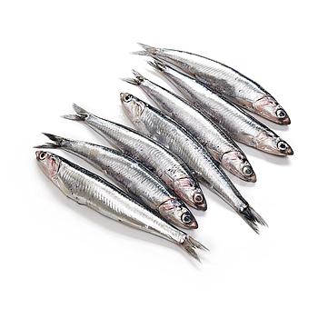 BOQUERÓN PEQUEÑO (70-100 piezas kilo)